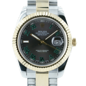 Rolex Datejust 116233GYRO 36MM Wimbledon Dial Silver-tone Case